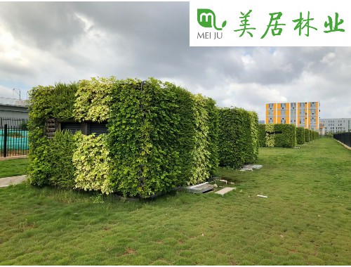 博鱼boyu体育sports：义马城市绿化管养经费标准