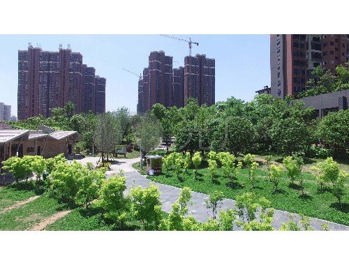 boyu博鱼中国官方网站：园林园建绿化工程偷工减料