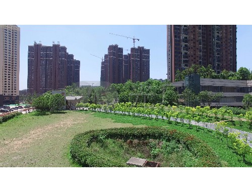 boyu博鱼中国官方网站：园建工程贵还是绿化工程贵