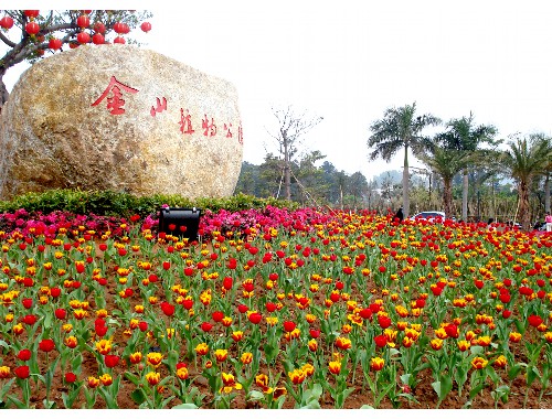 博鱼boyu：峡江县国家园林城市绿化