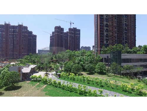 博鱼boyu官方网站：新城壹号二期绿化工程