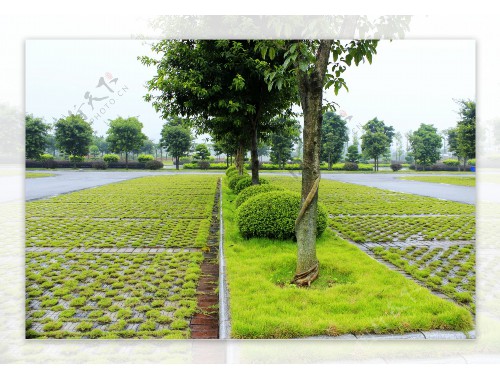 博鱼中国官网：新乡绿化工程承包商
