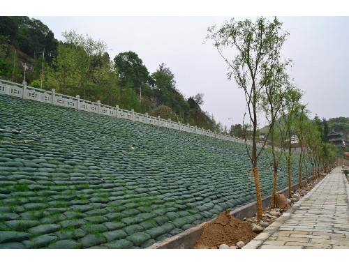 博鱼官方网站：疫情防控绿化工程总结