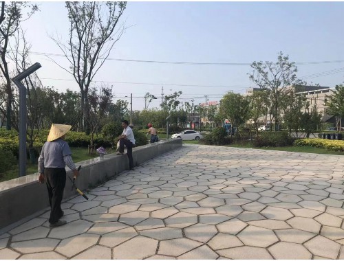 博鱼中国官网：有关城市绿化建设的画