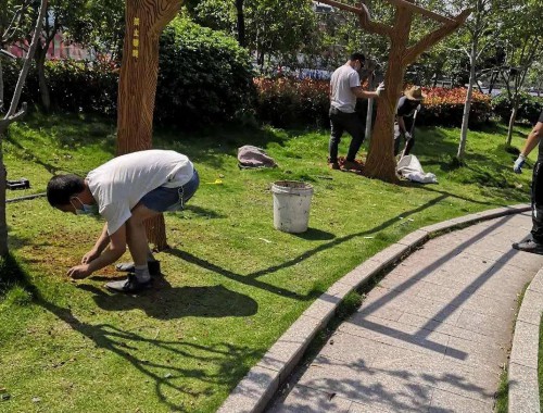 博鱼boyu体育官方平台：霞安园林绿化工程招标信息