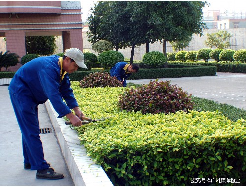 boyu博鱼中国官方网站：先河环保绿化工程