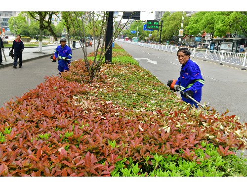 博鱼官方网站：亿豪绿化工程